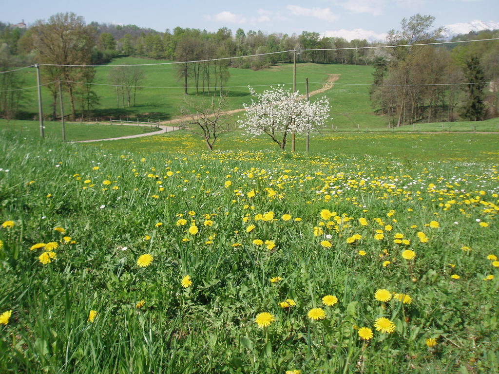 La Pepanella Bed and Breakfast Magnano  Exteriör bild